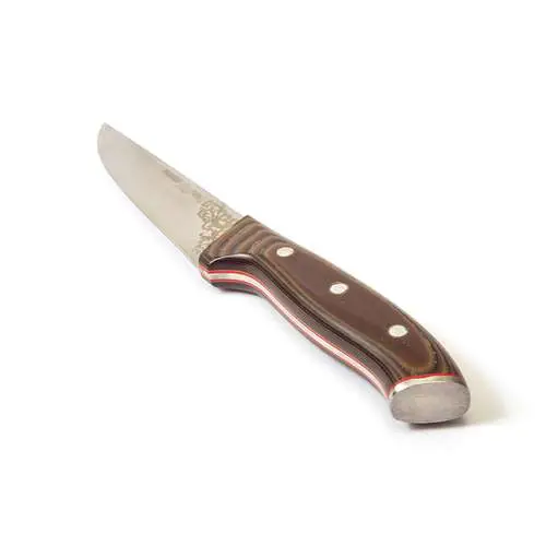 Elite Kasap Bıçağı No.1 14,5 cm - 4